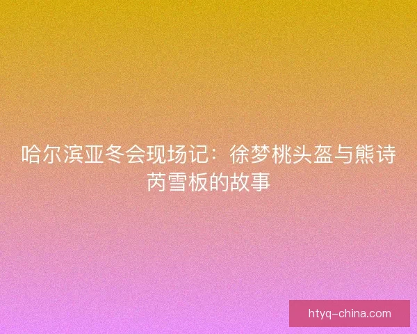 哈尔滨亚冬会现场记：徐梦桃头盔与熊诗芮雪板的故事
